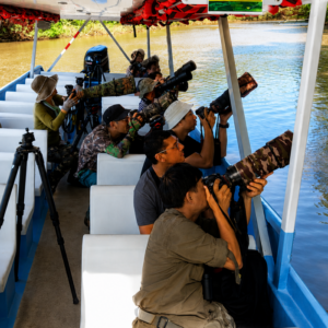 Birdwatching and photography tour