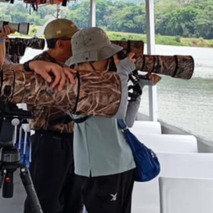 Birdwatching and photography