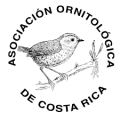 Asociacion-Orintologica-qt87874hiosk8bnr37bc14is25gp8pueurfvkd39j4